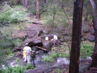 Clean-up Australia Day 2012