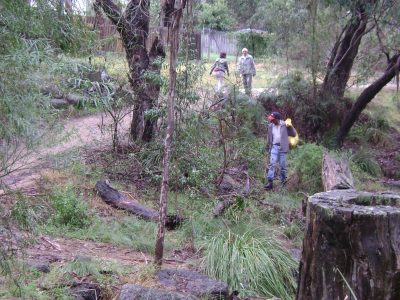 Clean-up Australia Day 2012