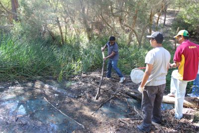 Clean-up Australia Day 2013