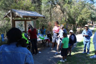 Clean-up Australia Day 2013