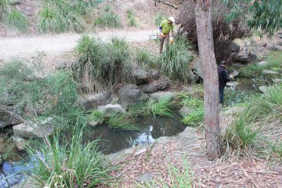 Clean Up Australia Day 2014