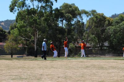 Australia Day Cricket Match 2014