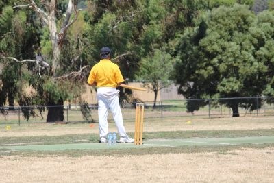 Australia Day Cricket Match 2014