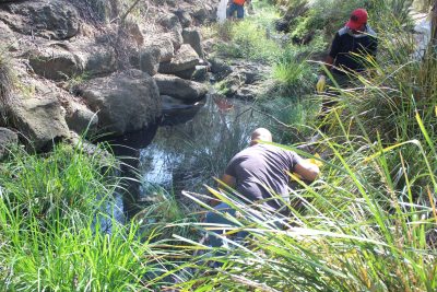 Clean Up Australia Day 2016