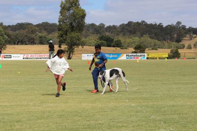 Australia Day Celebrations 2017
