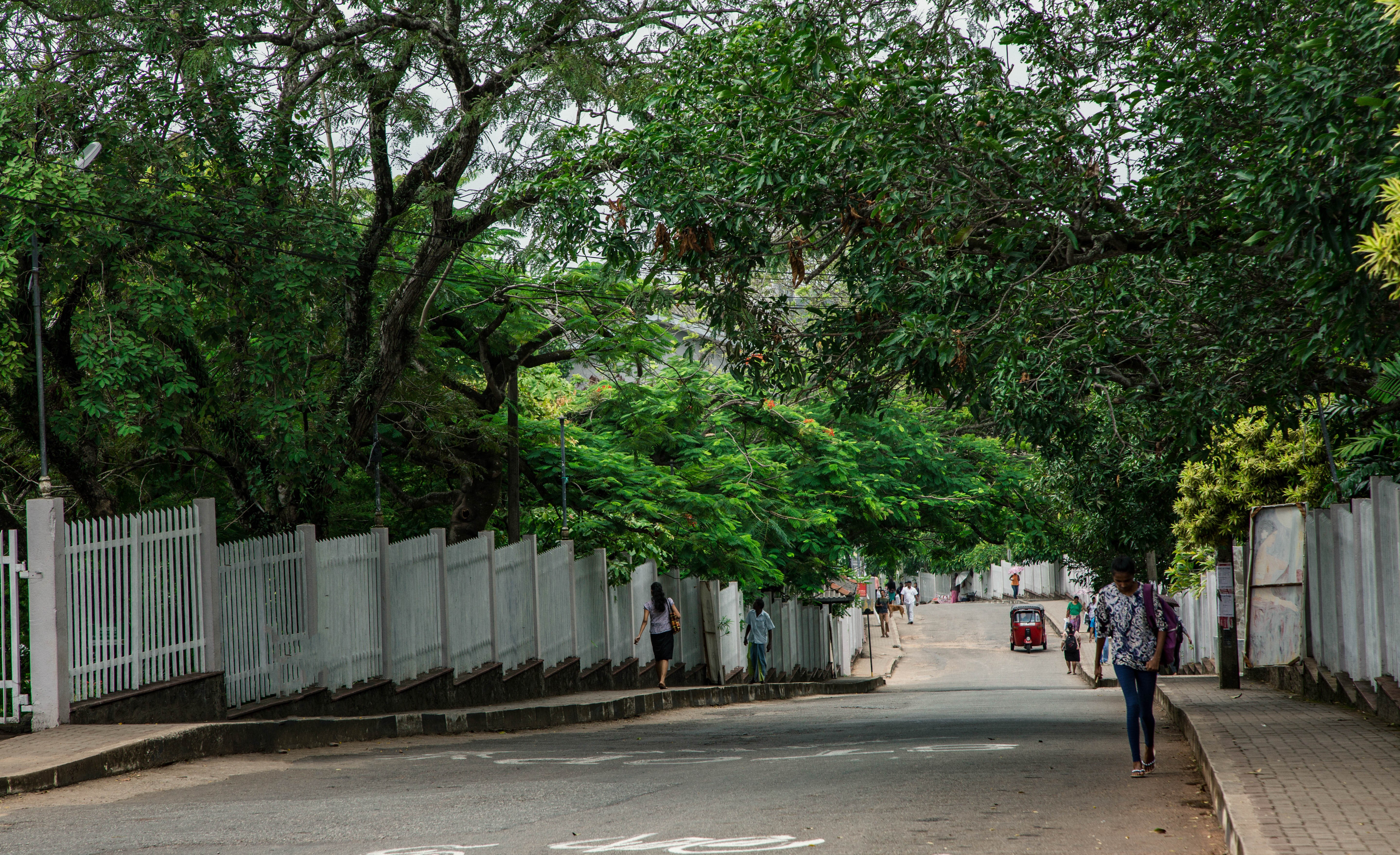 University of Kelaniya campus street